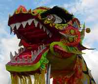 Ann�e du Dragon