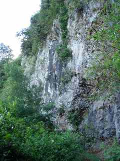 Descente vers Grand Bassin