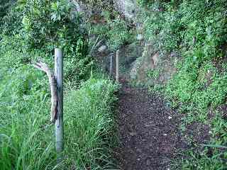 Sentier de Grand Bassin