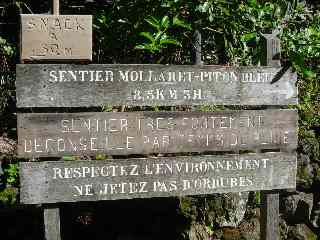 Sentier Mollaret - Grand Bassin