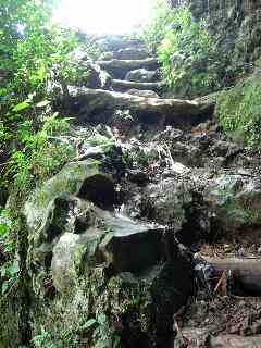 Sentier de Grand Bassin