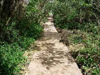 Sentier de Grand Bassin