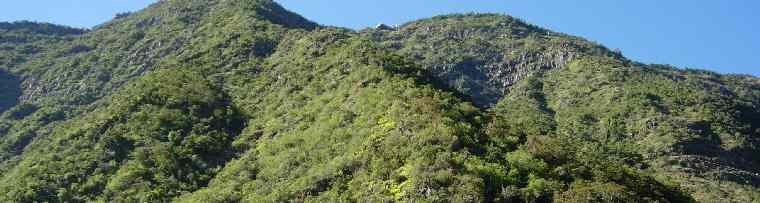 Bois Court, vu de Grand Bassin