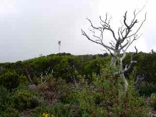 Tour de guet du Mado