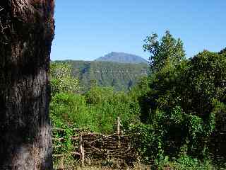 Piton des Neiges