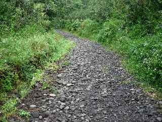 Sentier vers Grand Etang