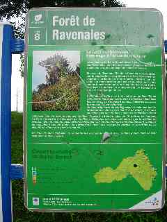 Forêt des Ravenales St-Benoit