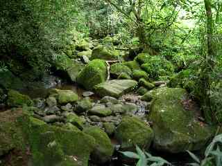 Ravine Batardeau