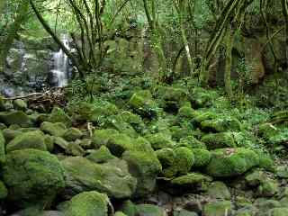 Ravine Batardeau