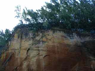 Cap Jaune