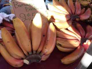 Bananes Barbard