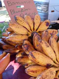 Bananes Plantain