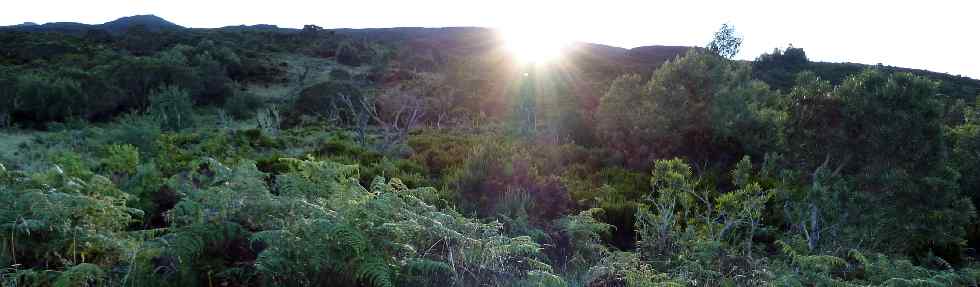 Lever de soleil sur la crte du rempart du cirque de Cilaos