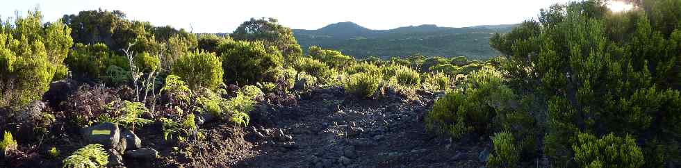 Monte vers le Piton Rouge