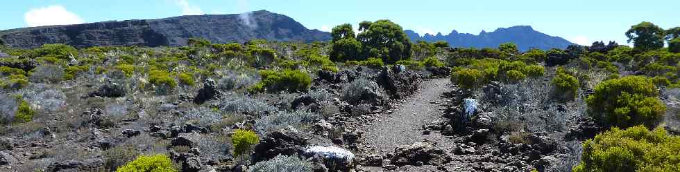 Rempart de Cilaos - Petit Bnare