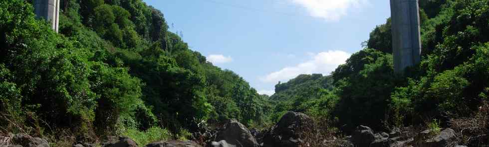 Piles du pont de la rivire d'Abord