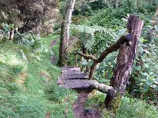 Escalier de bois