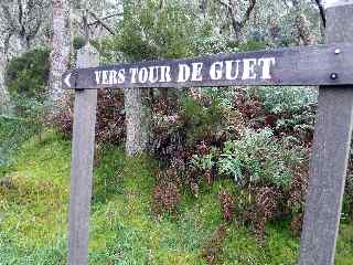 Vers la tour de guet