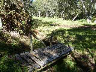 Route forestire du Haut Tvelave