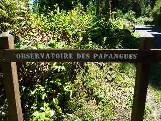 Observatoire des papangues