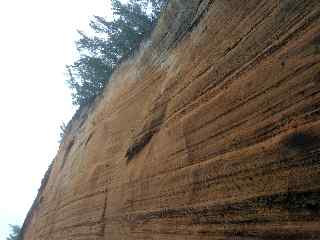 Cap Jaune, la falaise