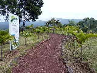 Alle du Parc des Palmiers