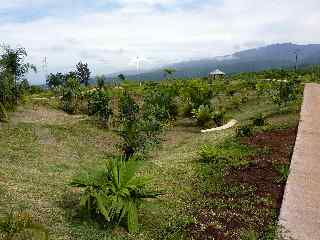 Parc des Palmiers