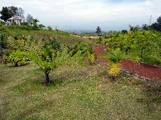 Parc des Palmiers