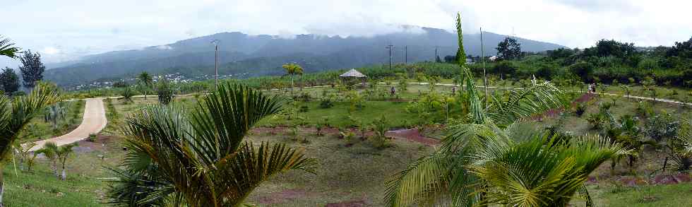 Panorama vers les Hauts, du Parc des Palmiers