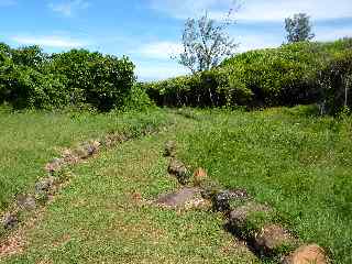 Sentier vers la mer