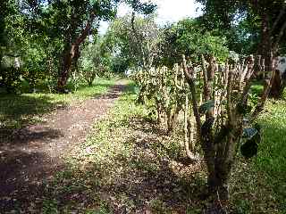 Parc zoiseaux