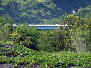 Pont de la route des Tamarins