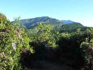 Sentier du Tapage, vers les Hauts