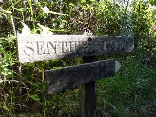 Sentier difficile - chelles