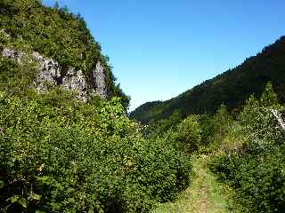 Valle du Bras Patate