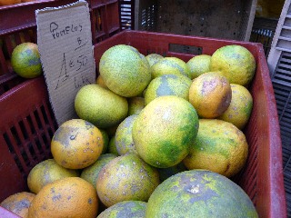 Pomelos