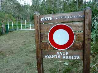 Piste du Haut Tvelave, route forestire 83