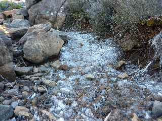 Givre en juin au Petit Bnare