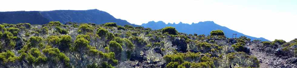 Grand Bnare, Massif du Piton des Neiges depuis le Petit Bnare