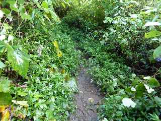 Sentier de la chapelle