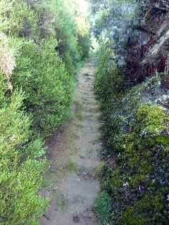 Sentier de la chapelle - marches tailles