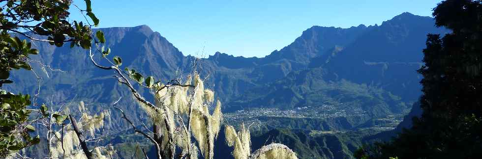 Cirque de Cilaos et barbe de St-Antoine