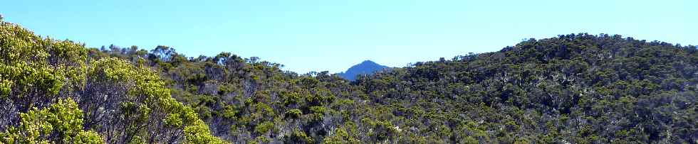 Piton des Neiges