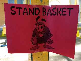 Stand basket
