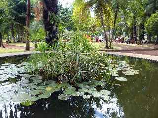 Jardin de l'Etat - St-Denis