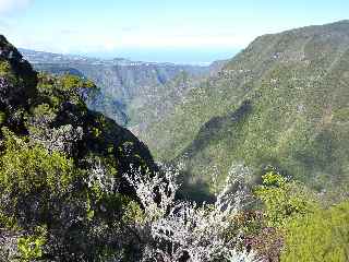 Grand Bassin, Bras de Ste-Suzanne