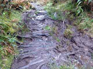 Sentier du Piton des Neiges - Coteau Maigre-Piton Tortue