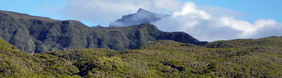 Bras de Ste-Suzanne et Piton des Neiges