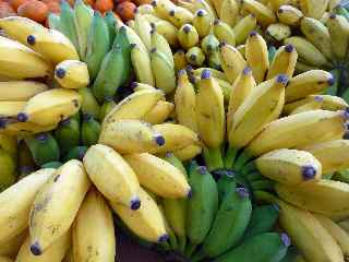 Petites bananes