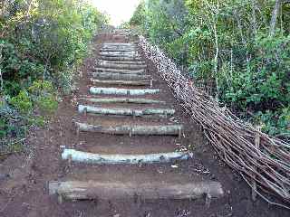 Sentier de la Grande Jument - Escalier et fascines en bois de goyavier